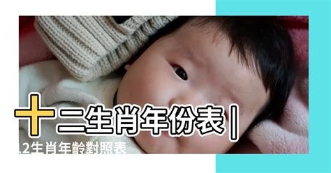 11月屬什麼|十二生肖年份對照表 (西元、民國)